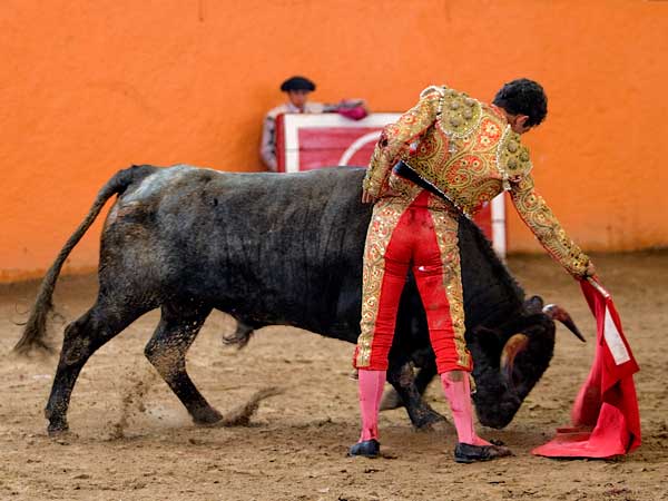 Gallardo se sobrepuso