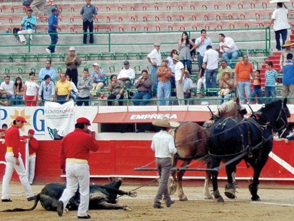 Se fue con los apndices puestos