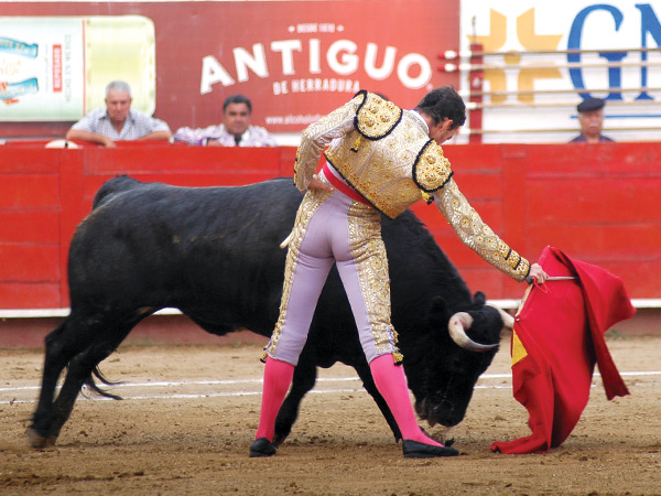 Calidad en la embestida