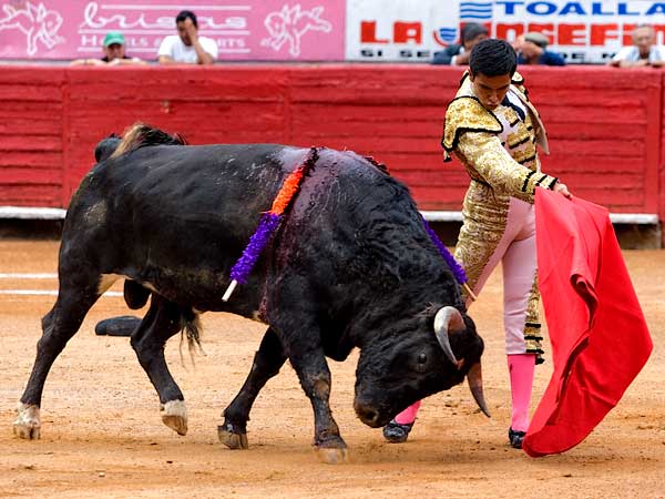 Perfilando su remate