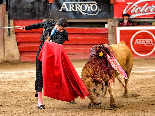 Perfilando su remate