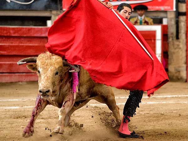 Solo el triunfo en la mente