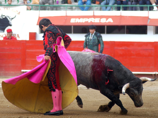 Fijo en la arena