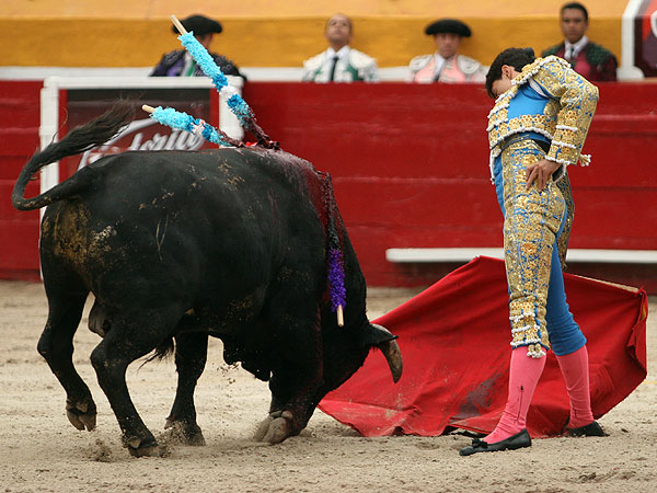 Calidad en la embestida