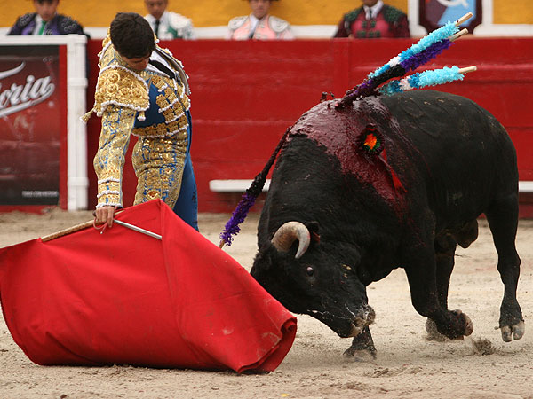 Pedro Gutirrez Lorenzo