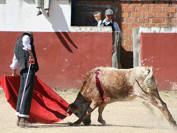 Antonio Galindo