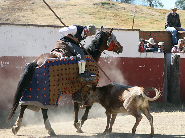 Peleando