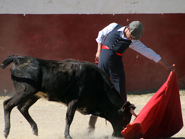 Gerardo Snchez de Apizaco