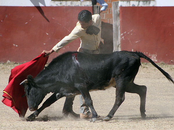 Despidiendo