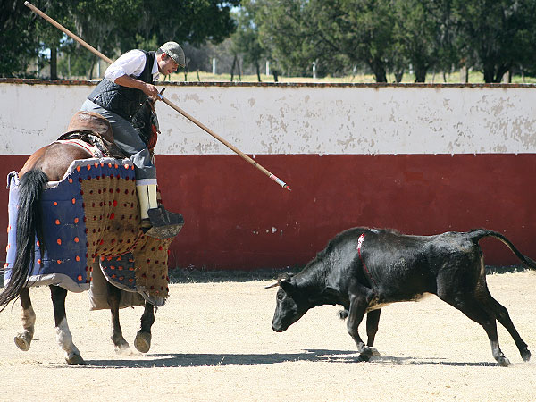 Cesar Morales en el caballo