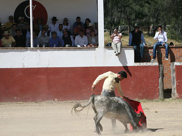 Buena concurrencia