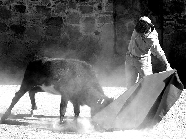 El joven ganadero Jos Arturo