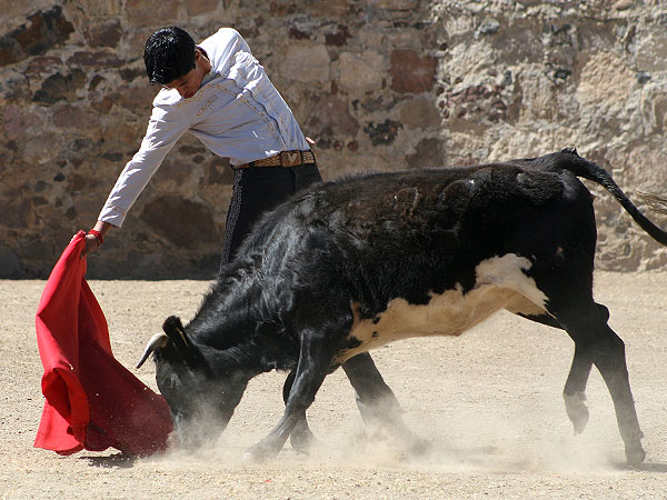 Finas hechuras de la vaca