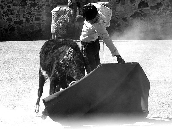 Sergio Flores sentimiento mexicano