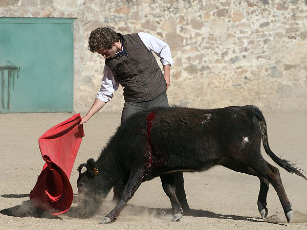 Cuidandola al final