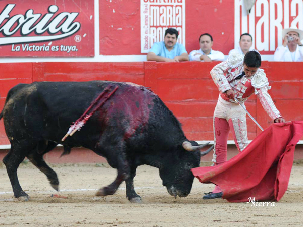 Ayudado del torero norteo