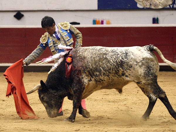 Llevndolo con pinzas