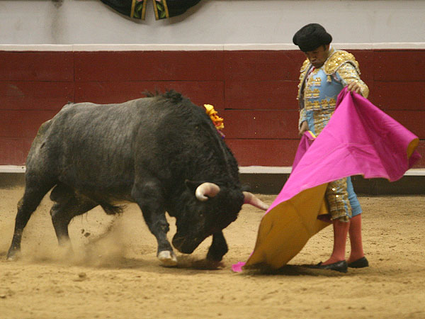 Las Vernicas de Alberto