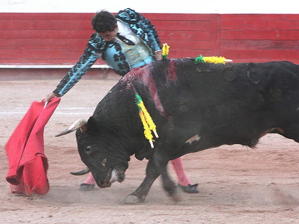 Alargando el muletazo