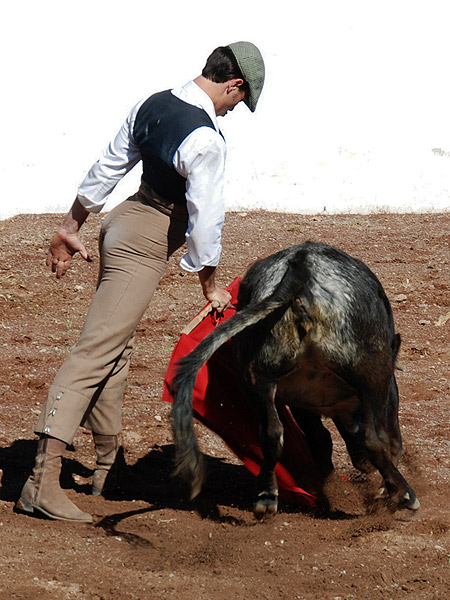 Trincherazo de oro