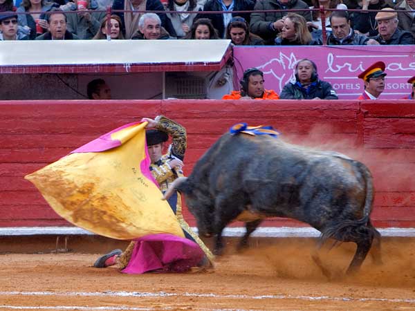 Recibiendo de hinojos