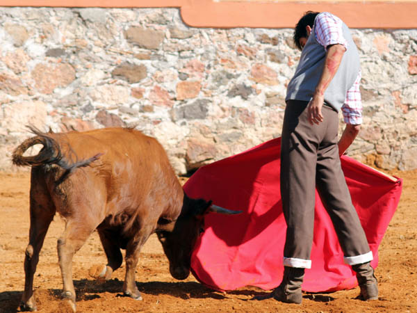 Tirando del ejemplar