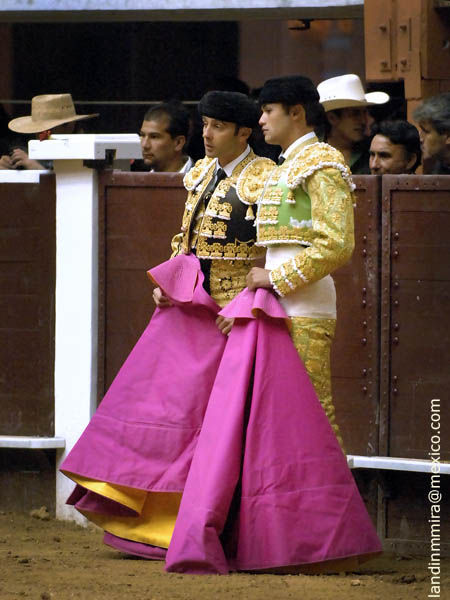 A la cabeza del caballo