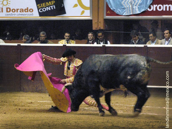 Castella, rodilla en tierra