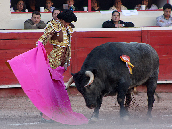 El sello de Castella a la vernica