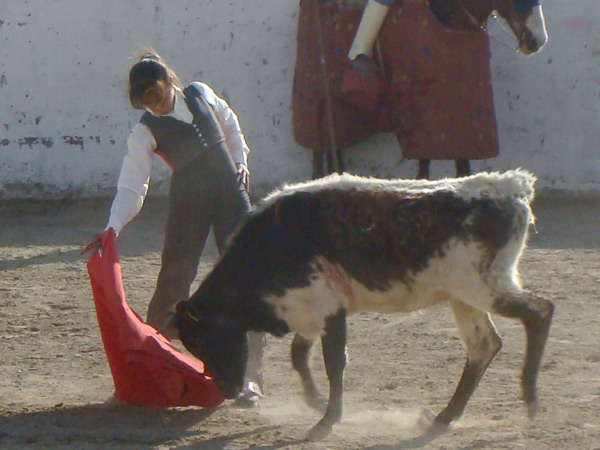 Un pase de la michoacana