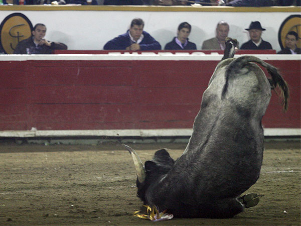 Clavo los pitones en la arena