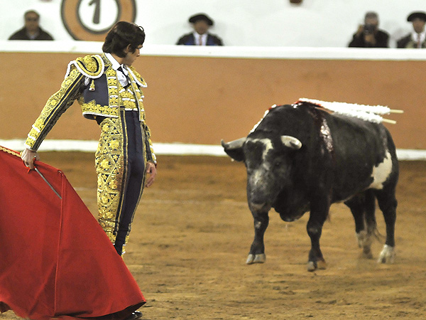 Preparando el pndulo