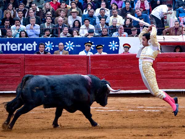 Cuadrando en la cara del toro