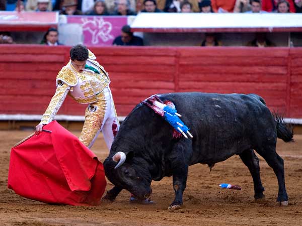 Templando la embestida