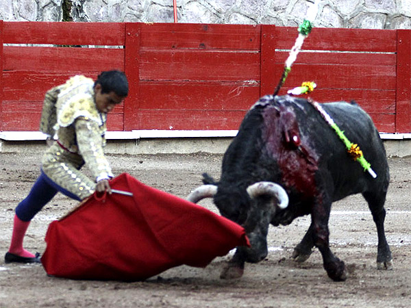 Antonio Romero, tesonero