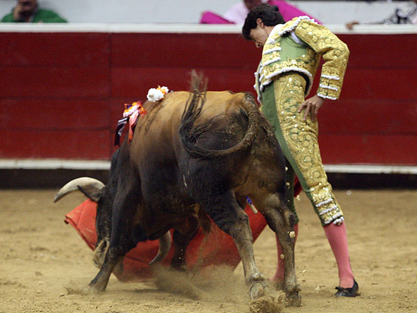 Pedro Gutirrez Lorenzo