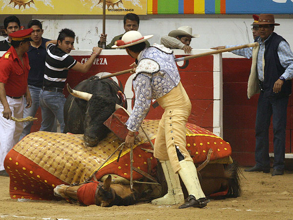 Defendiendo la cabalgadura