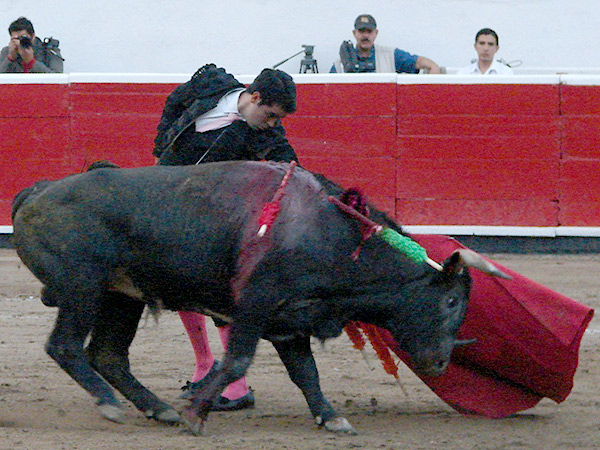 Alargando la embestida