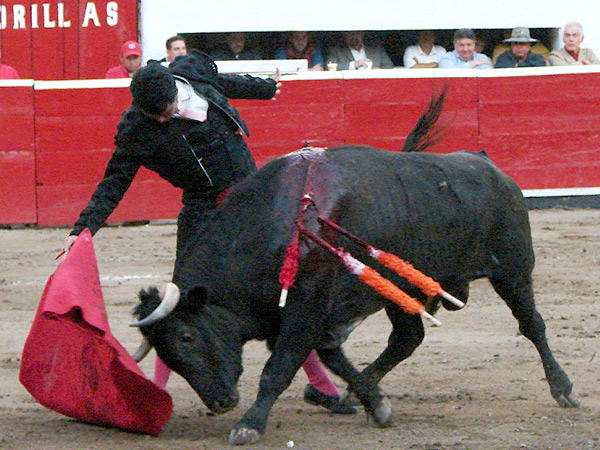 Acompaando con todo el cuerpo