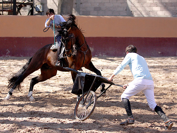 Mxima expresividad