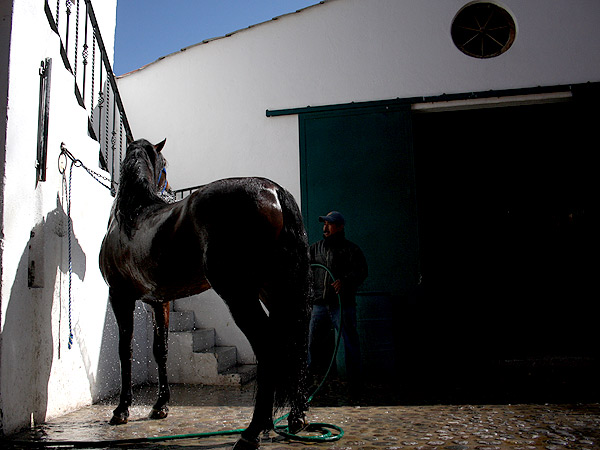 Despus del entrenamiento