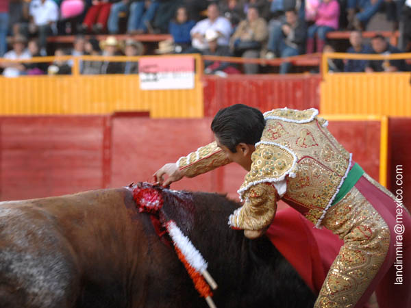 Partido en dos