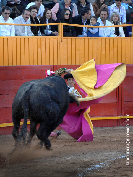 El Capea saluda de hinojos