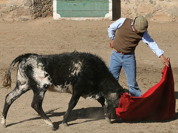 Con los vuelos