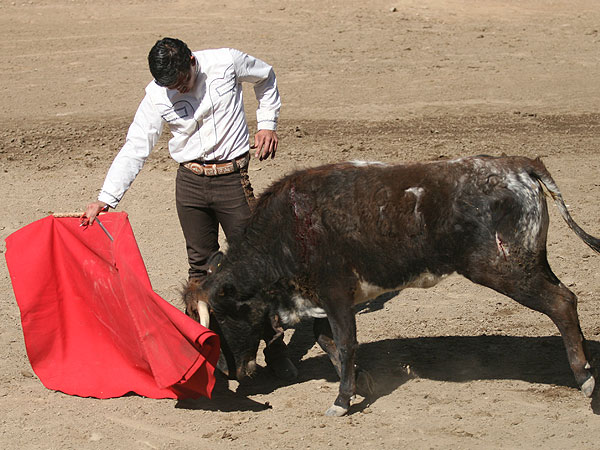 Sintiendo el muletazo