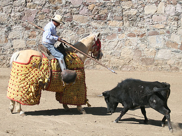 Don Mateo a caballo