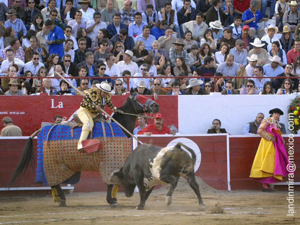 Juan Cobos en la suerte de varas