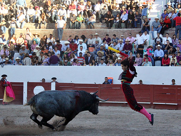 El Chihuahua con las banderillas