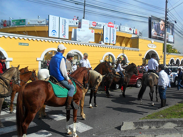 Iniciando la marcha