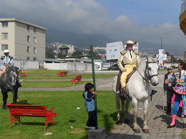 A favor de los toros